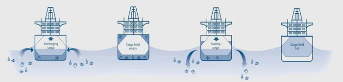 Ballast water absorption and release (schematic representation)
