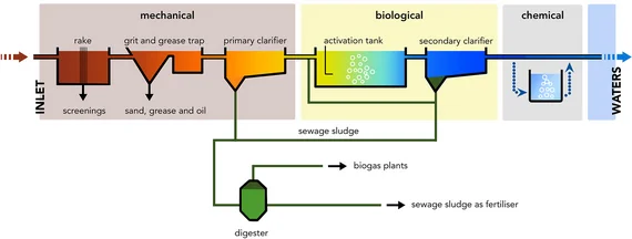Purification stages of a sewage treatment plant