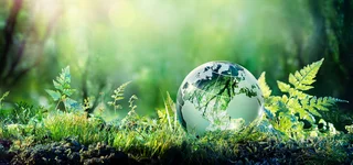 Simple Energy Savings Tips – copy overlaid on below graphic