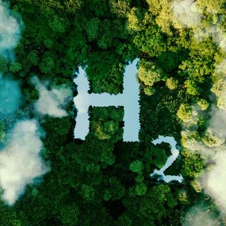 Forest from above with H2 lettering