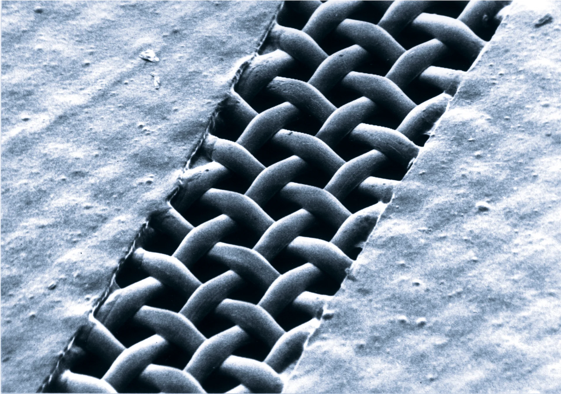 Coated metal mesh at an extreme magnification Coated metal mesh at an extreme magnification