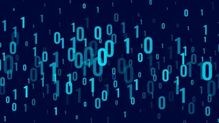 QUAT²RO® Weighing Data (DPS)